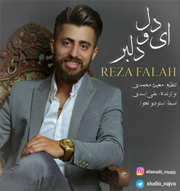 رضا فلاح ای دل دلبر